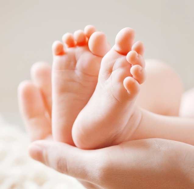 Newborn baby's feet resting gently in a parent's cupped hands after birth - The Midwife's Nest, Cairns