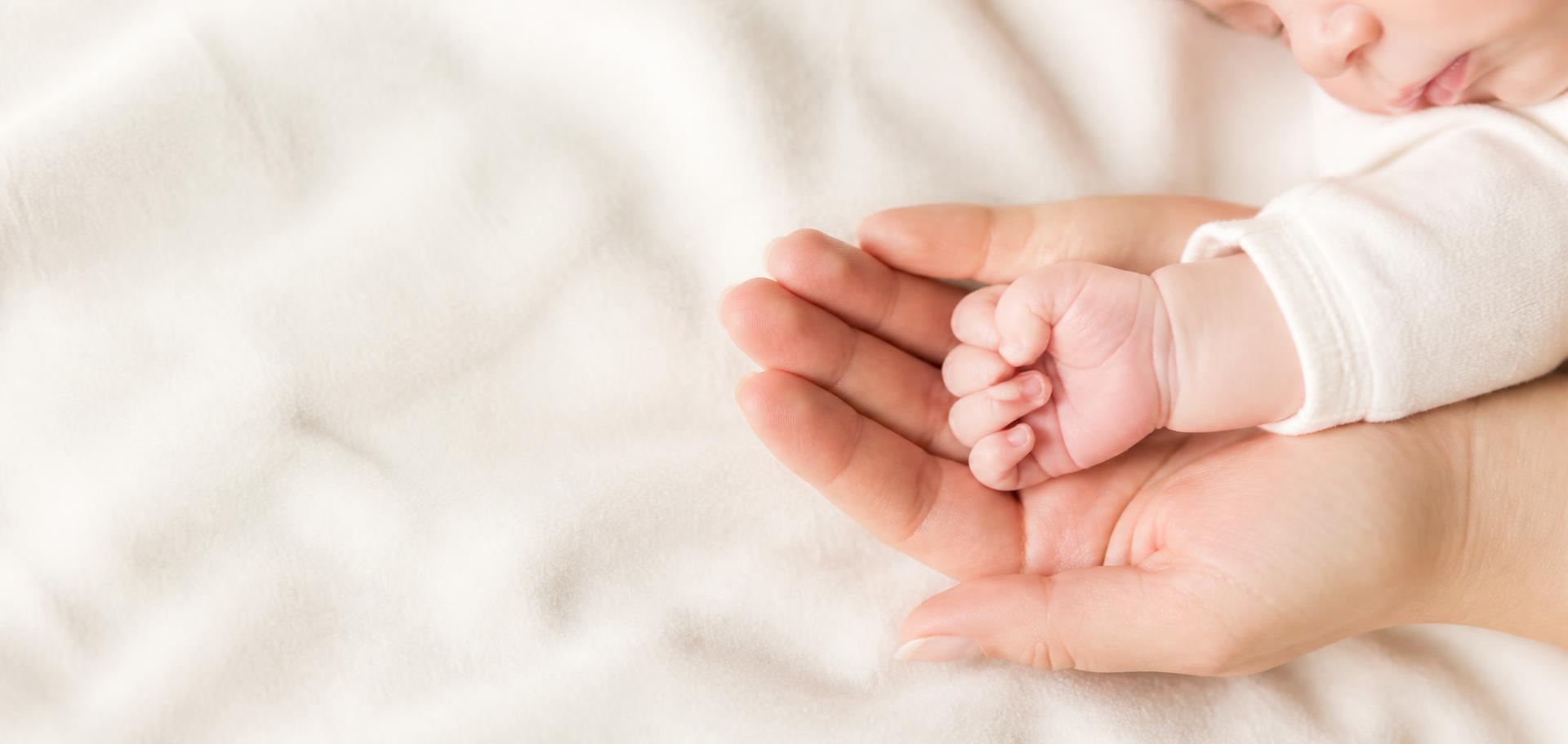 Newborn baby's hand curled inside their mother's open palm on a soft cream blanket - The Midwife's Nest, Cairns